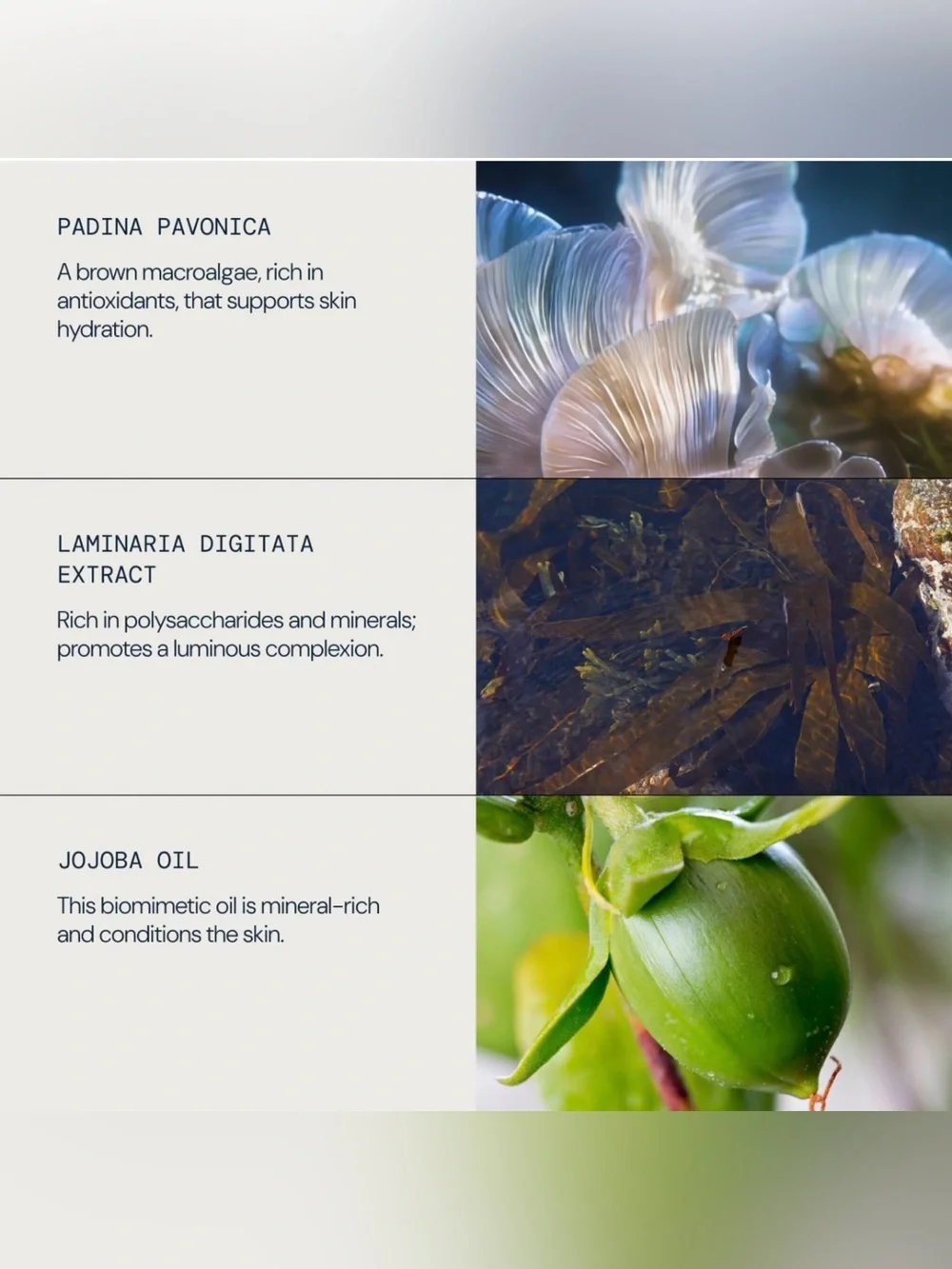 ELEMIS Pro-Collagen Marine Oil